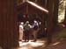Terry_Hallowes1