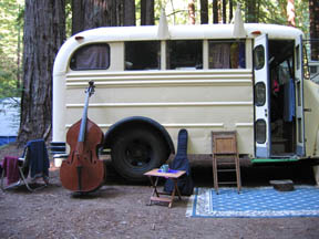 BusBassFiddle
